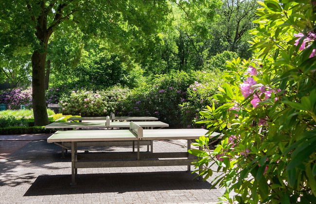 Tiny House in Brabant With Cozy Terrace - Photo 19