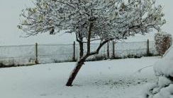 Conkers Cottage - Foto 3, Garden