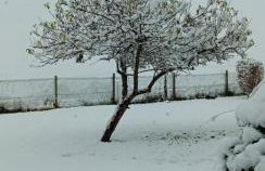 Conkers Cottage - Photo 3