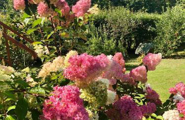 Holiday Let In Mazury !! - Foto 27