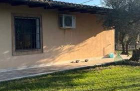 Casa nel verde a Monterotondo - Foto 3