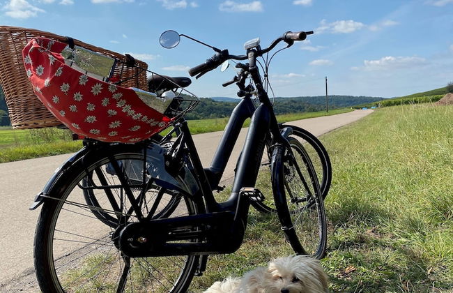 Ferienweingut Matthias Löwen - Foto 47