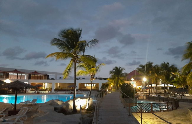 Kaz ananas passion - Photo 36