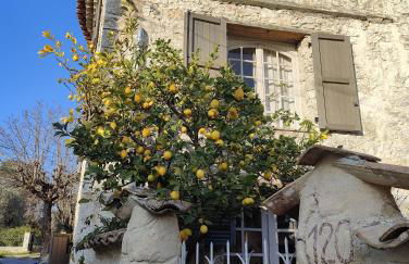 Le Mas Saint Pierre - Foto 25