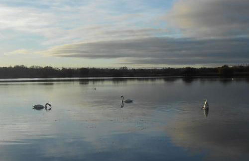 South Lake House - 300m to South Lake Leisure Centre - Foto 30