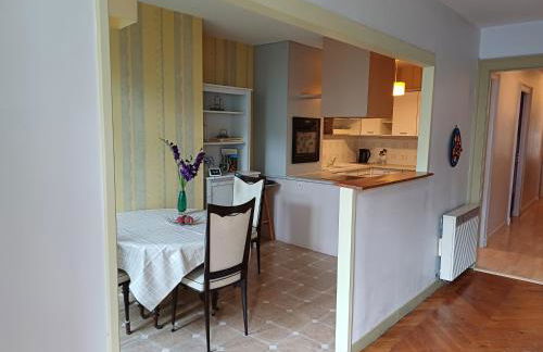 Appartement hyper-centre Issoire - Foto 8