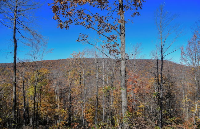 Moonlight Ridge by Taylor Made Deep Creek - Foto 46