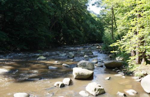 Ferienhaus am Wald - Einzelstandort mit Wallbox - Foto 25