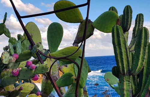 Cottage Vittoria - Marina di Novaglie - Foto 38