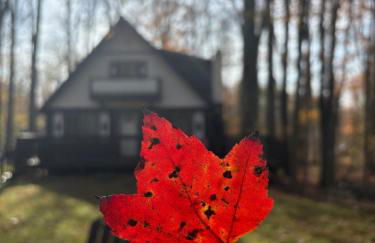 Cabin with Sauna Close to Skiing - Foto 52