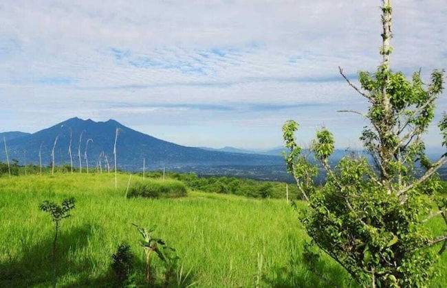 Landeuh Savana Pangrango Camp by ABM - Photo 18