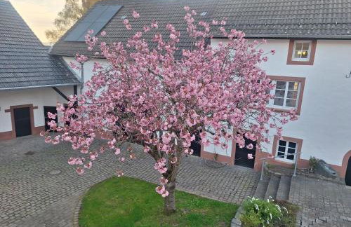 S & C Ferienhaus - Foto 3