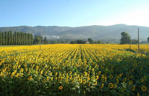 Holiday Home Il Moro Novo - Foto 21