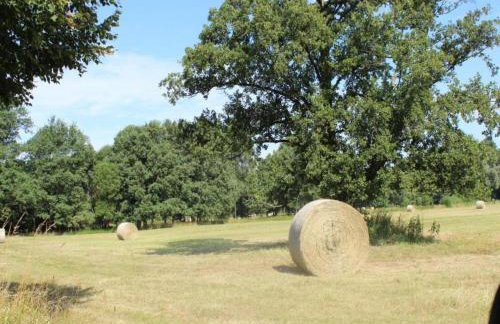 Waldblick Forest Retreat - Foto 79