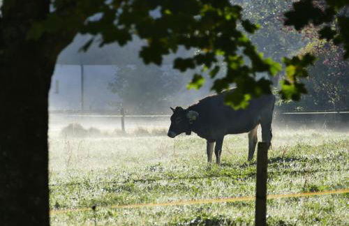 Ferienwohnung Mathias Kennerknecht - Foto 24