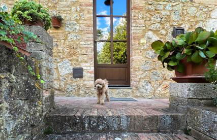 CLAUDIA VACANZA TOSCANA - Appartamento Nocciolo- 10 min da Siena - Foto 24