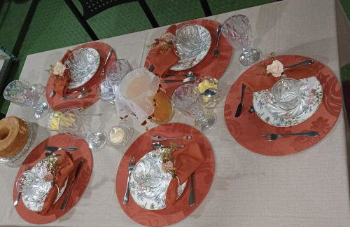 Barco Casa Pantanal Toca da Onça - Photo 49