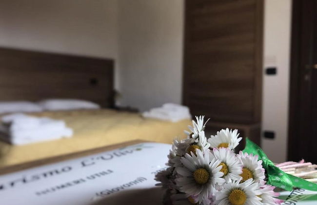 Agriturismo L'Ulivo - Foto 3