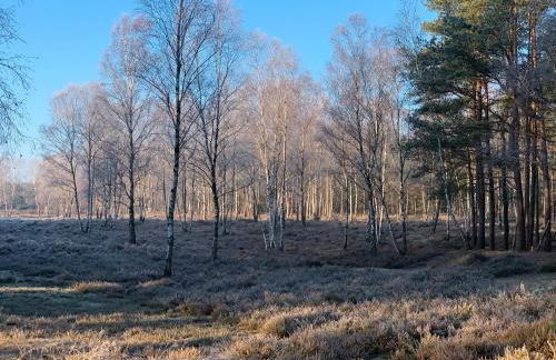 Deelenwohnung - Foto 37