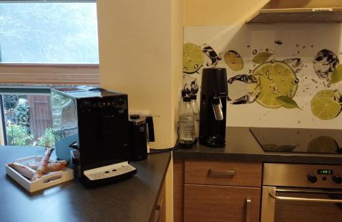 Nichtraucherferienwohnung-Neckarblick ZE-2022-74-WZ-118A - Foto 15