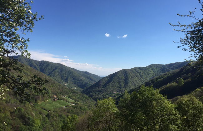 1000 e 1 Notte - Foto 39