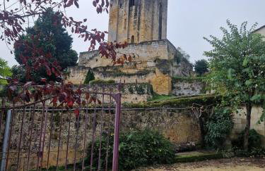 Studio des Caves de la Tour Du Roy St Emilion - Foto 22
