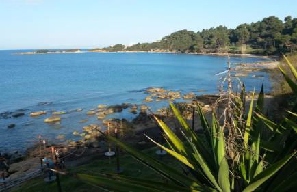 Villa Feia - Photo 32