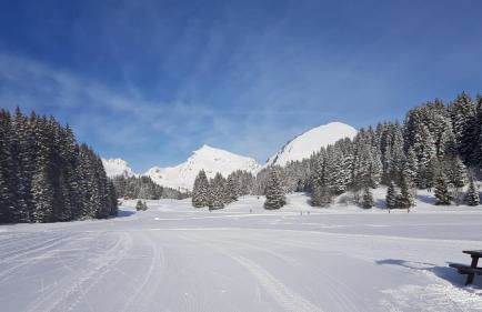 studio cabine Praz de Lys - Foto 19