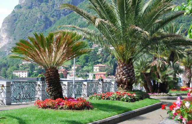 Residenza Menaggio - Glicine - Foto 15