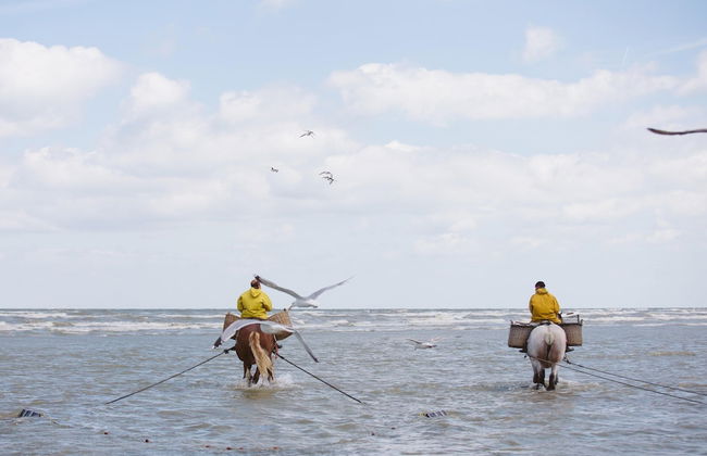 Cozy Fisherman's House With Garden - Foto 28