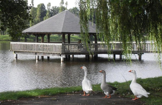 Home in Vielsalm With Sauna - Foto 50