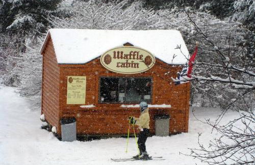 SKIING, HIKING, VILLAGE OF EVILLE MTN ESCAPE - Foto 39