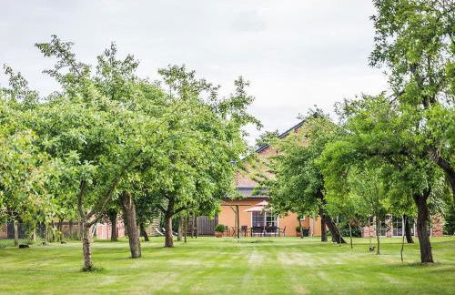Ferienhaus Sükow - Foto 4