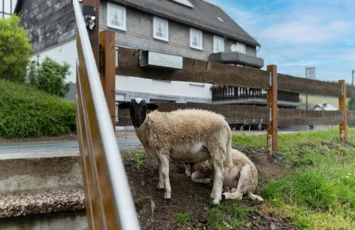 Charmantes Feriendomizil in Medebach - Foto 67