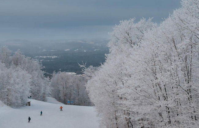 Spahaus 128 - Citq 298787 - Foto 39