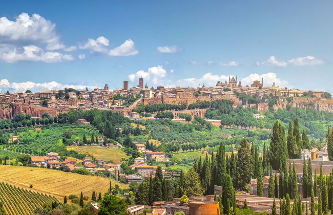 Excursión a Asís + Degustación de vino - Foto 1