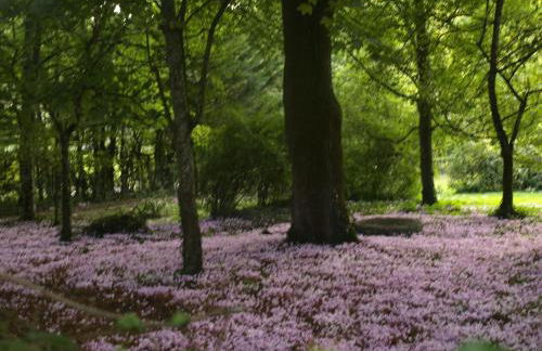 La Thébaïde - Foto 12