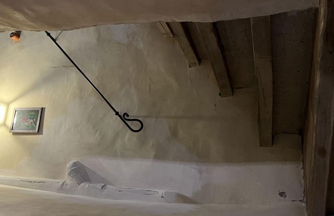 Preta Nera Andersen in Giuliano di Roma - Foto 52