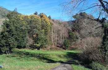 La CASUCA ENTRE TINAS - Foto 7