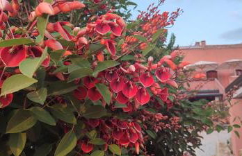 BioAgriturismo Antica Sena - Foto 36