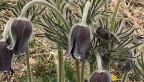 La Casa di Franco - Foto 2