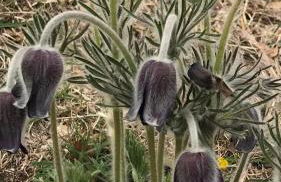 La Casa di Franco - Photo 2