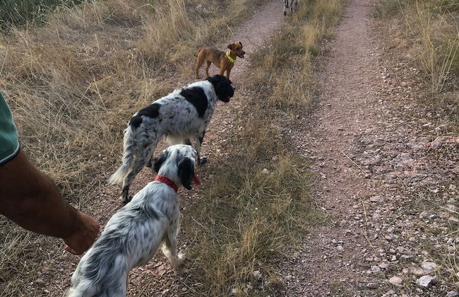 Setter House Agri Hotel - Foto 53