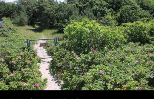 Die kleine Acht - direkt am Strand - Foto 40