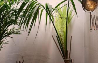 Finca del Moral - Foto 16