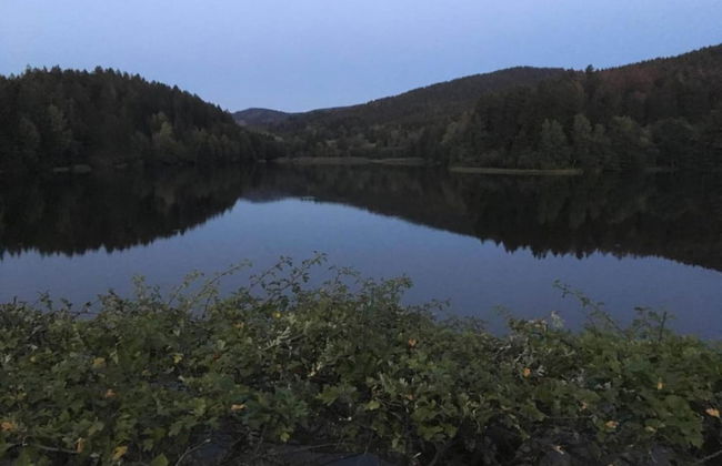 Ferienwohnung in Kamschlacken - Foto 29