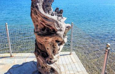 Little Bit Of Heaven - Photo 33