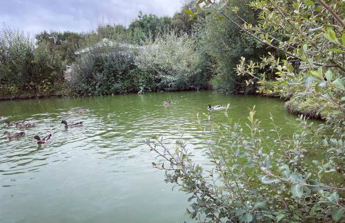 Spencers Retreat at Percy Wood Country Park - Foto 19