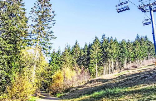 Apartment Waldoase by Interhome - Foto 48