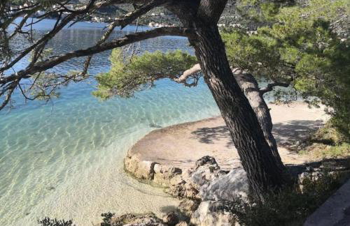 Luxury Apartments Blue Moon - New Apartments - Foto 45